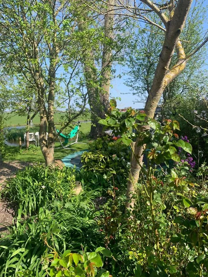 Very Nice Cottage In Durgerdam, With Private Garden, Free Parking, Pets Allowed Amsterdam 0*,  Netherlands
